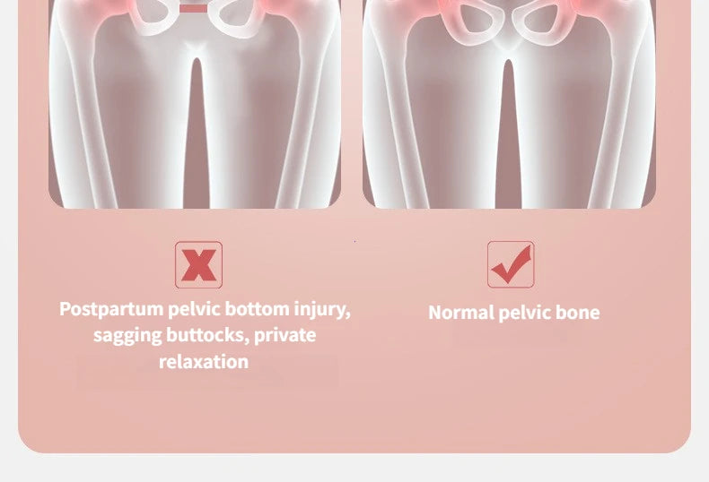 Zelio™ Thigh & Pelvic Trainer